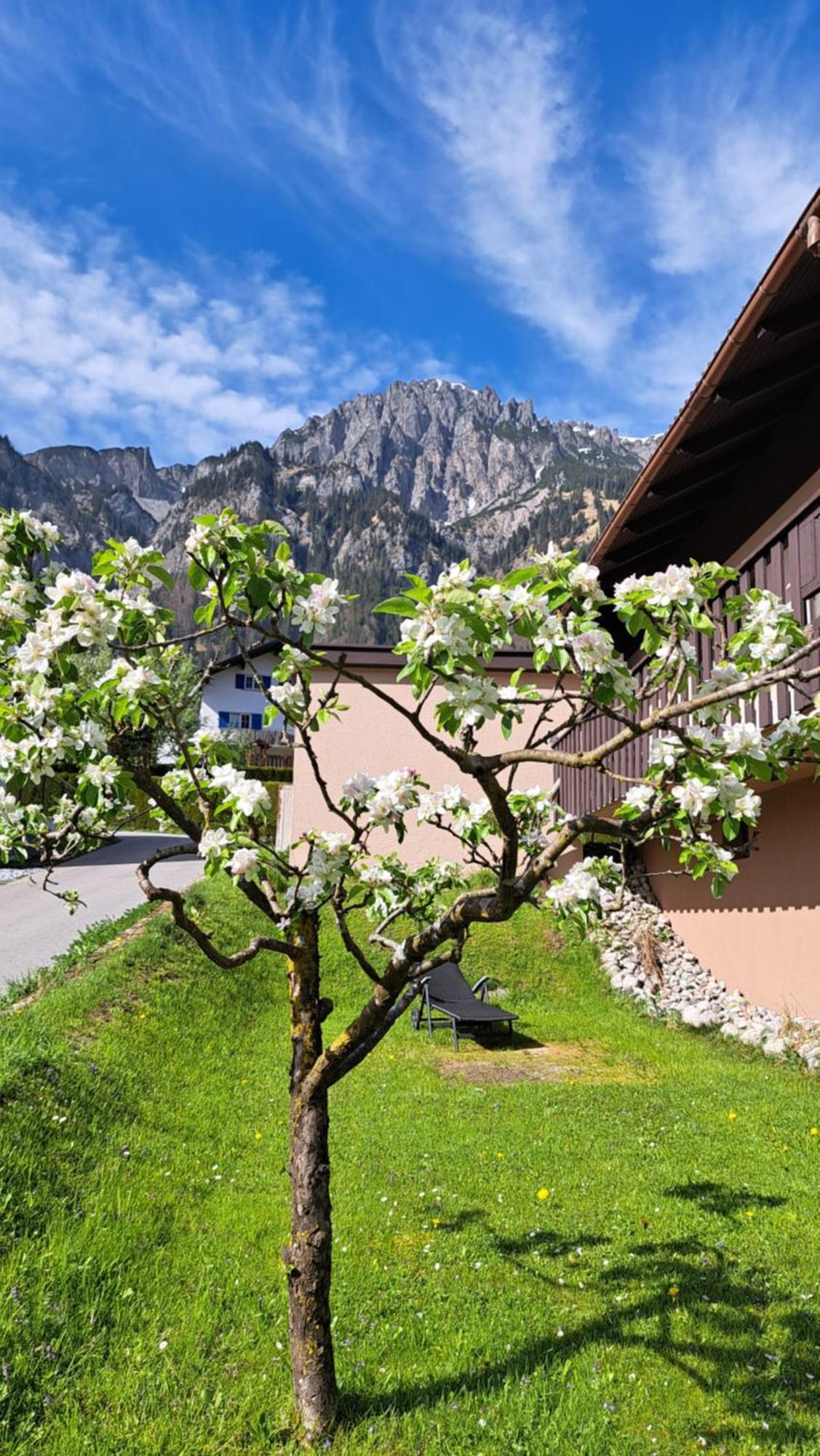 Baers Mountain Stay Ausserbraz Innerbraz Exterior photo
